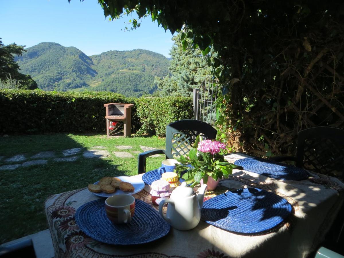 Universal Harmony - Pettirosso Farm stay