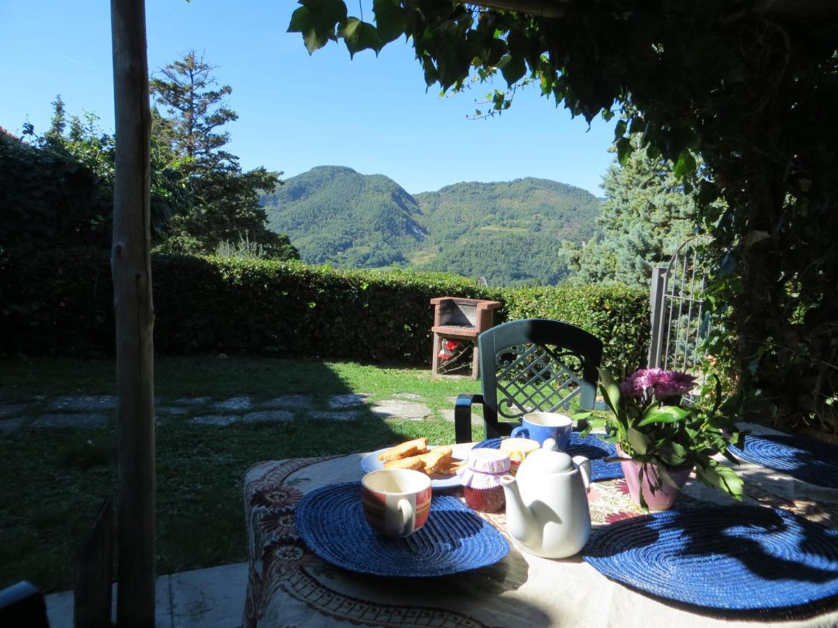 Universal Harmony - Pettirosso Farm stay Dicomano