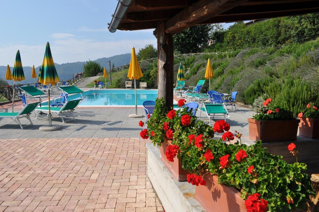 Universal Harmony - Pettirosso Farm stay *